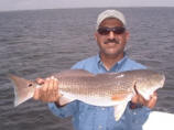 rodriguezfish
